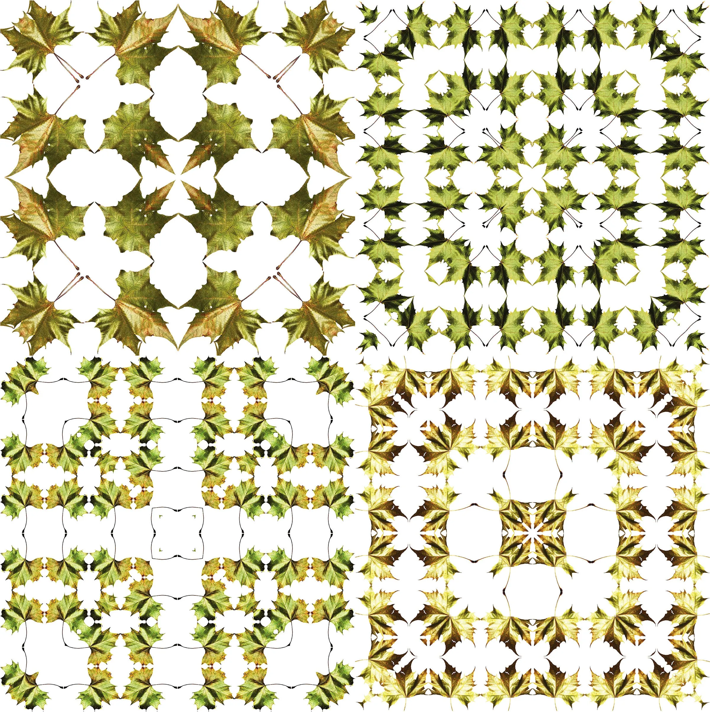 Army Green Leaf Quilt Rain Jacket